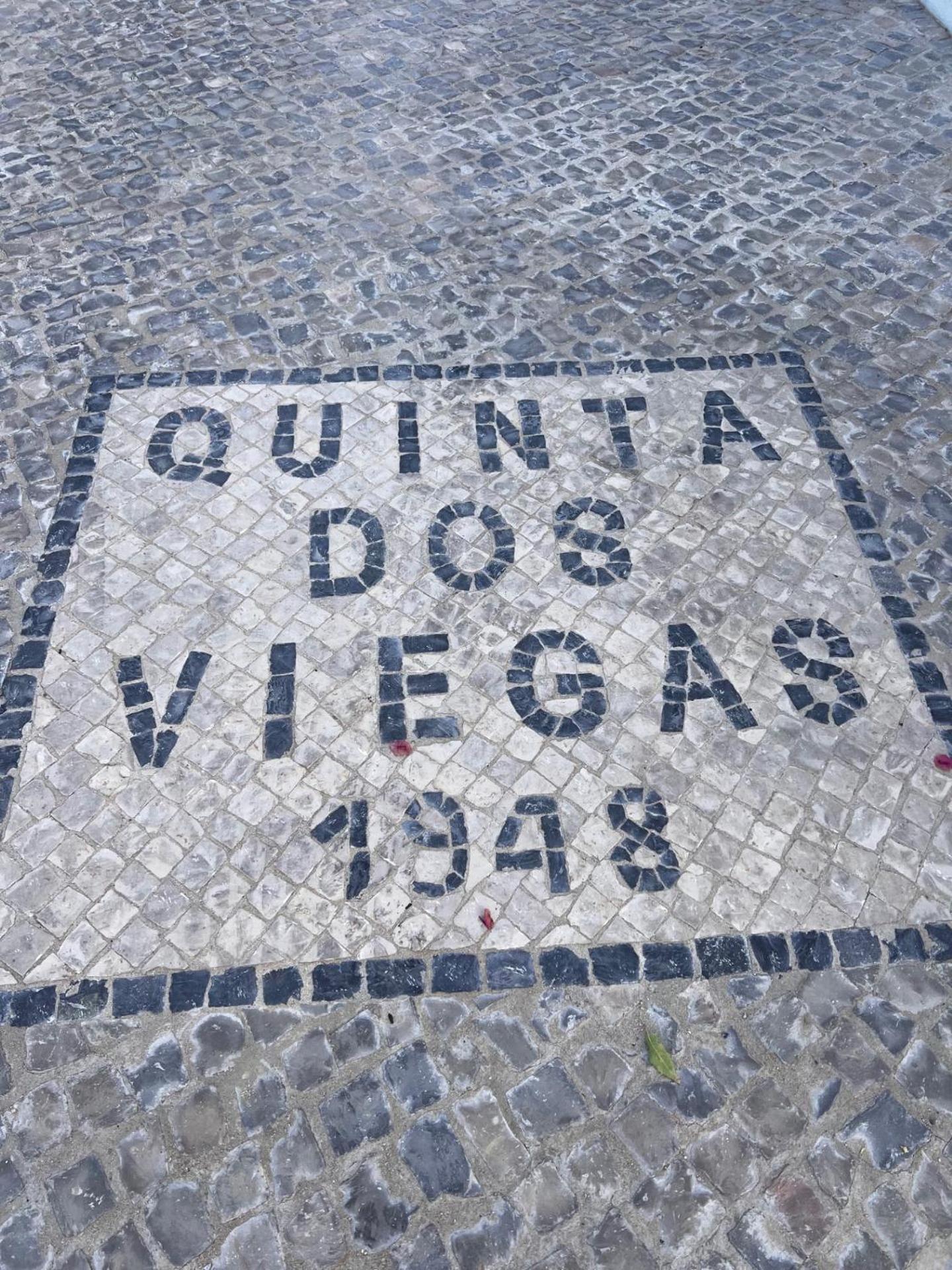 הוילה פארו Quinta Dos Viegas מראה חיצוני תמונה