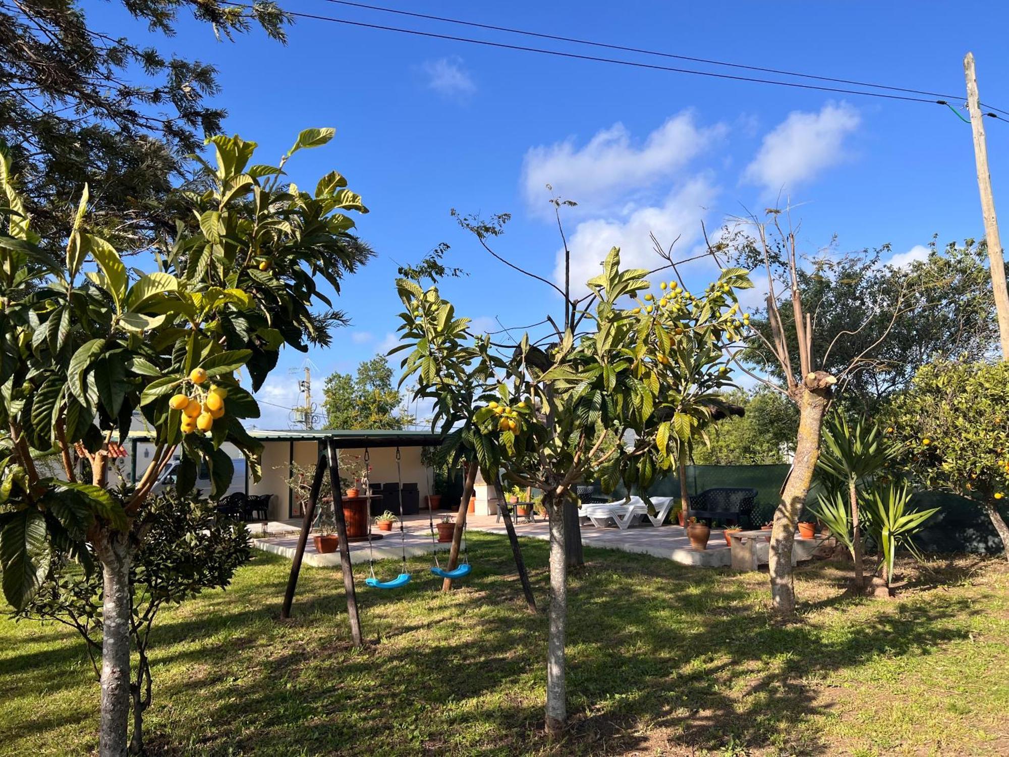 הוילה פארו Quinta Dos Viegas מראה חיצוני תמונה