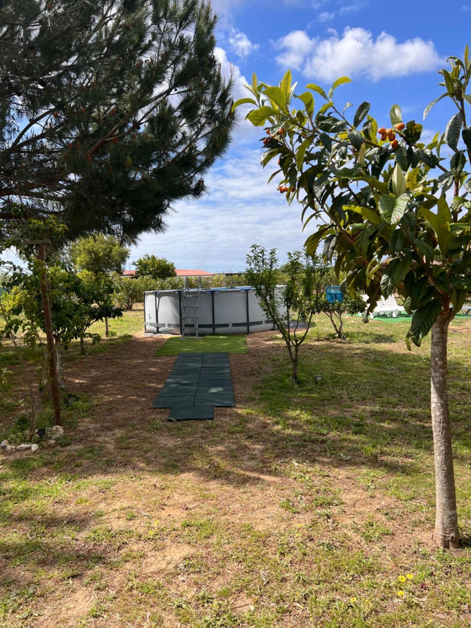 הוילה פארו Quinta Dos Viegas מראה חיצוני תמונה